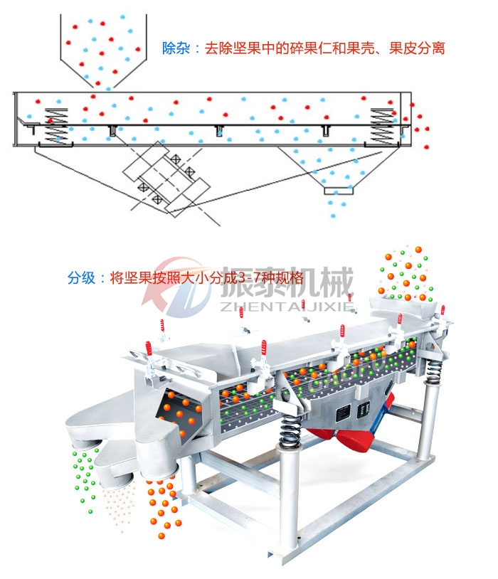 玉米芯粉直线振动筛原理